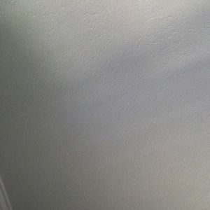 Meet your Posher, Noah